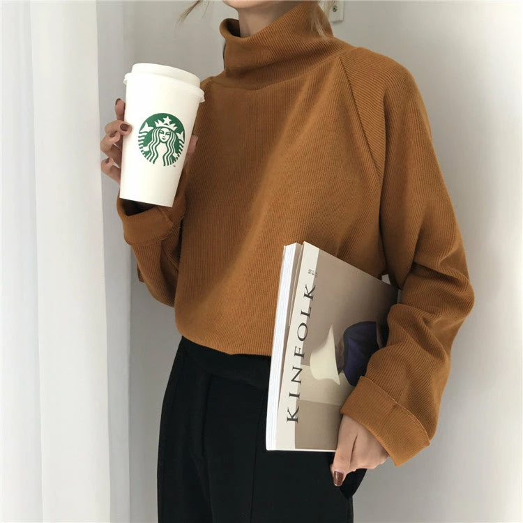 Unzzy Chic Turtleneck Sweater KF9571 HOT SALE 6 Unzzy Chic Turtleneck Sweater KF9571 HOT SALE